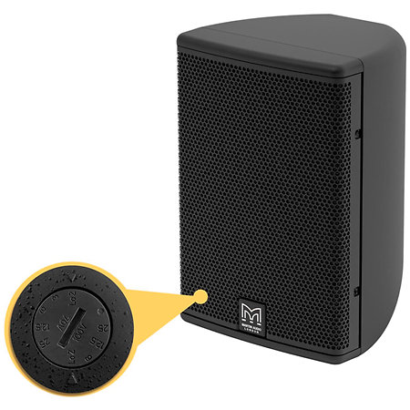 CDD5TX-WR Black (la paire) Martin Audio