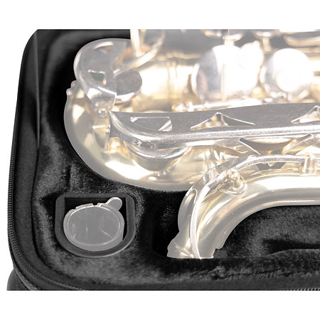 GL-ALTOSAX-R23 Gator