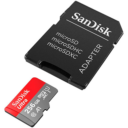 Sandisk MicroSDXC 256Go