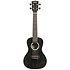 Black Doghair Mahogany Concert + housse Kala