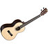 Solid Spruce Top Ebony Tenor Kala