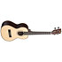 Solid Spruce Top Ebony Tenor Kala