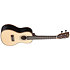 Solid Spruce Top Ebony Concert Kala