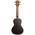 Solid Spruce Top Ebony Concert Kala