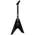James Hetfield Vulture Black Satin + étui LTD
