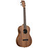 Teak Baritone Kala