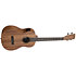 Teak Baritone électro-acoustique Kala