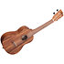 Teak Concert Kala