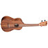 Teak Concert Kala