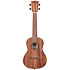 Teak Concert Kala