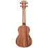 Teak Concert Kala