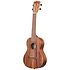 Teak Concert Kala