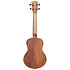 Teak Tenor Kala