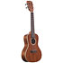 Gloss Solid Mahogany Concert Kala