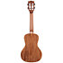 Gloss Solid Mahogany Concert Kala