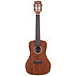 Gloss Solid Mahogany Concert Kala