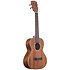 Gloss Solid Mahogany Tenor Kala