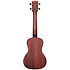 Solid Mahogany Concert Kala