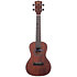 Solid Mahogany Concert Kala
