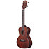 Solid Mahogany Concert Kala