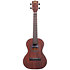 Solid Mahogany Tenor Kala