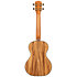 Solid Curly Trembesi Metropolitan Tenor + housse Kala