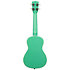 Green Sparkle Concert Kala