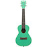 Green Sparkle Concert Kala