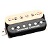 Green Magic Neck Zebra Seymour Duncan