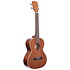 Satin Mahogany Tenor Kala