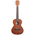 Satin Mahogany Tenor Kala