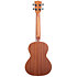 Satin Mahogany Tenor Kala