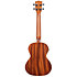 Satin Mahogany Tenor électro-acoustique Kala
