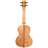 Exotic Mahogany Tenor Kala