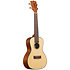 Solid Spruce Top Mahogany Concert Kala