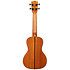 Solid Spruce Top Mahogany Concert Kala