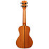 Solid Spruce Top Mahogany Concert + housse Kala