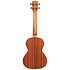 Solid Spruce Top Mahogany Tenor Kala