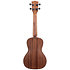 Solid Spruce Top Mahogany Travel Concert + housse Kala