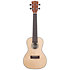 Solid Spruce Top Mahogany Travel Concert + housse Kala