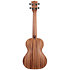 Solid Spruce Top Mahogany Travel Tenor + housse Kala