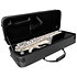 GL-ALTOSAX-R23 Gator