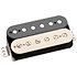 78 Model Trembucker Bridge Zebra Seymour Duncan