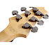 SGR C1L Black Gaucher Schecter