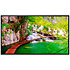 TH-75CQE2W 75'' 4K Panasonic
