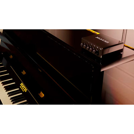 Piano Magistral system Pleyel