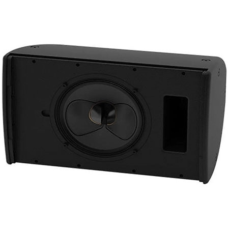 Martin Audio CDD10 WR Black (l'unité)