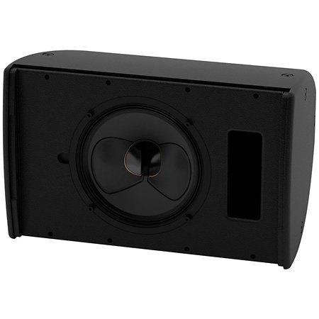 Martin Audio CDD10TX WR Black (l'unité)