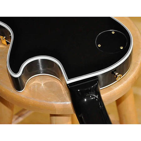 Edwards ELPCTM Black Gaucher ESP
