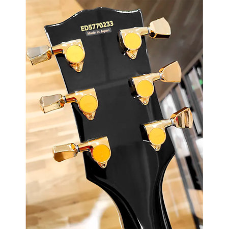 Edwards ELPCTM Black Gaucher ESP